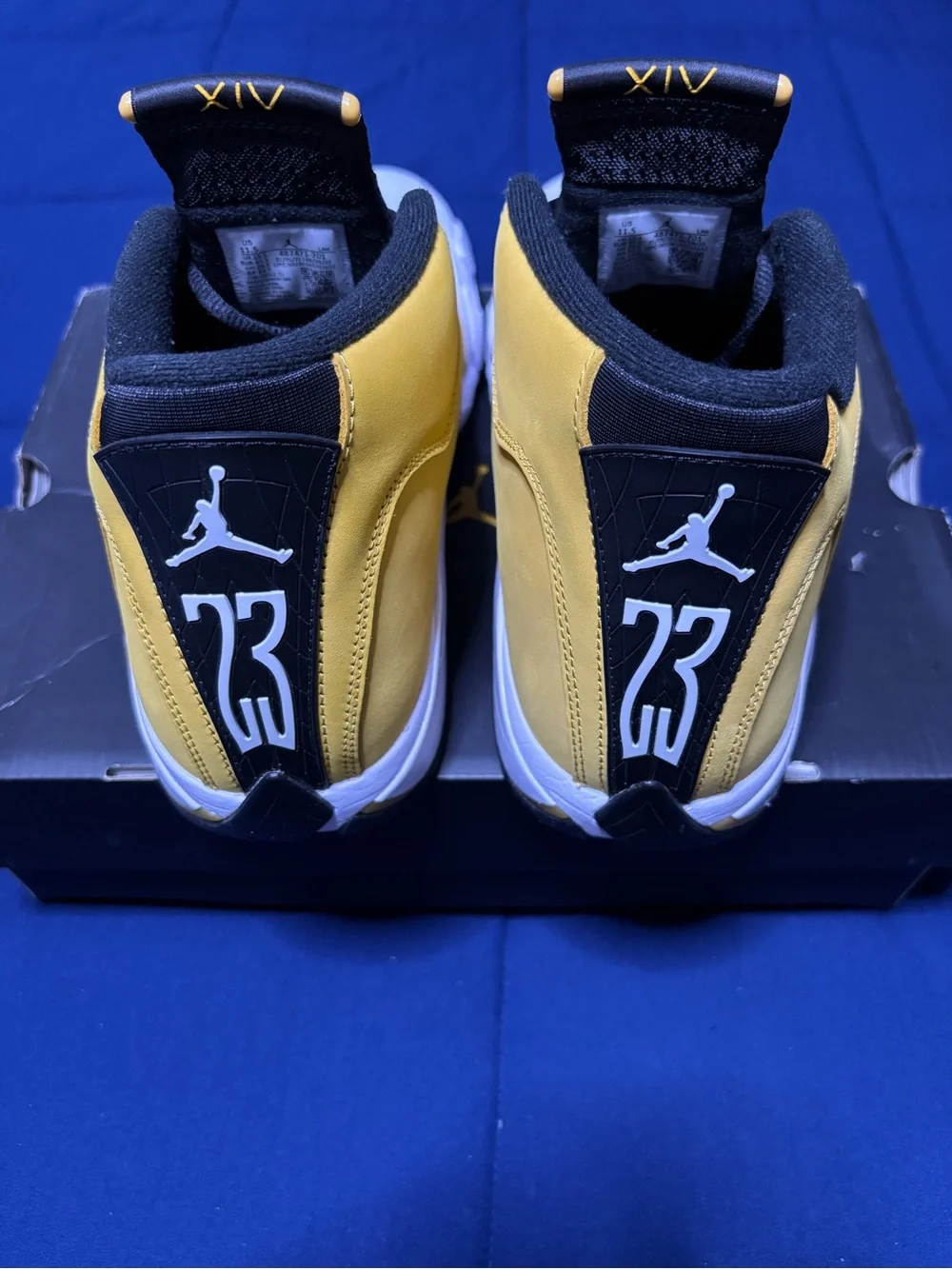 Jordan 14 retro
